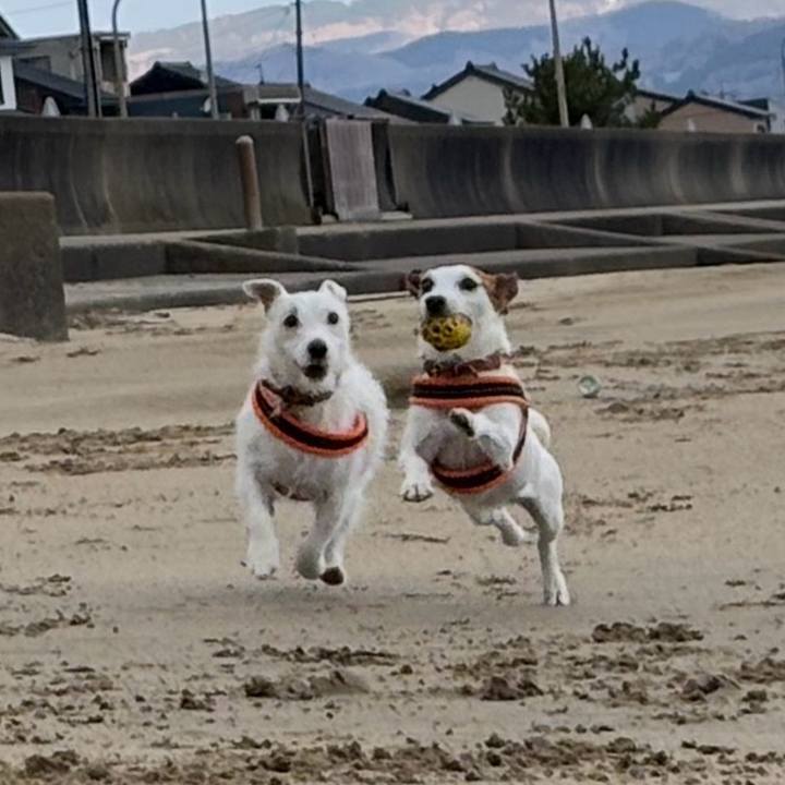 A2d4efc7 3209 4359 bb31 3dc00103ffe7 1768737522950