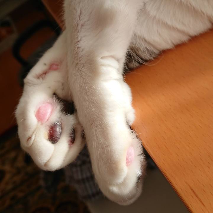 A2d4f69c 20a4 40f9 a4af 552b1f9aa418 1573862855209