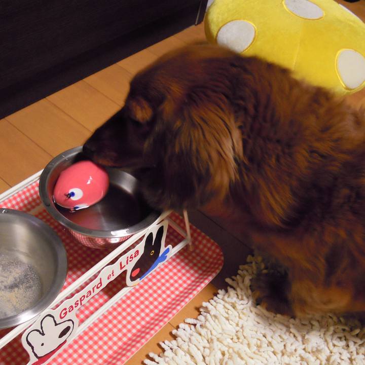 A2d50bf0 c147 449b 9086 06563cdd62a8 1550251138107