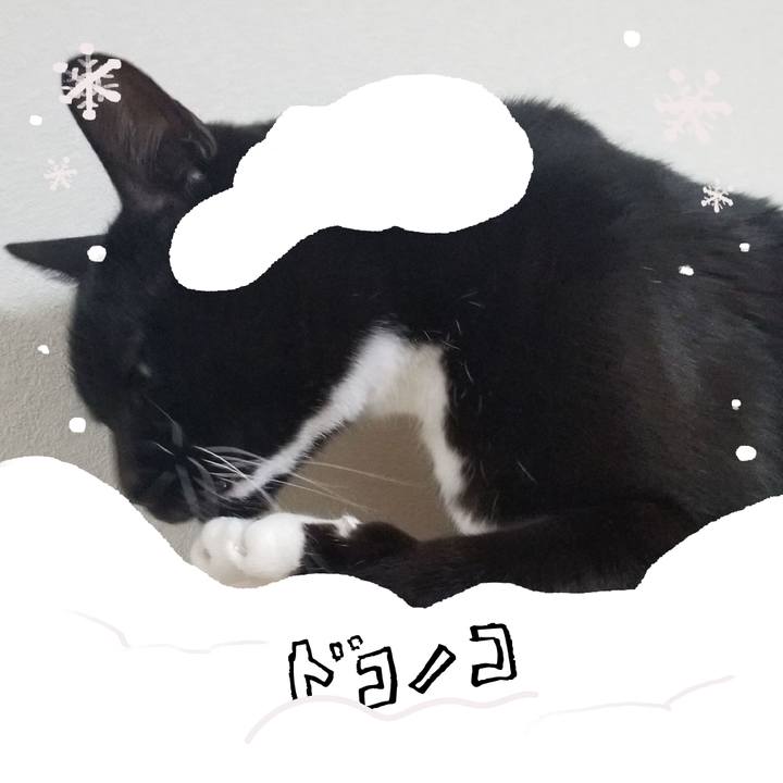 A2d51158 5b14 4e0a 85bb 705f8c9a6b15 1772010793350