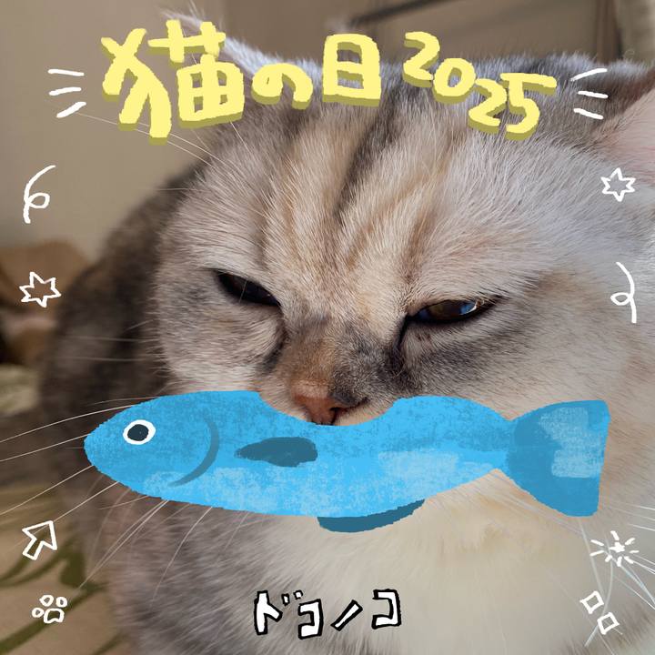 A2d5147a 877e 462c 9594 a0ca07589b5c 1740208663608