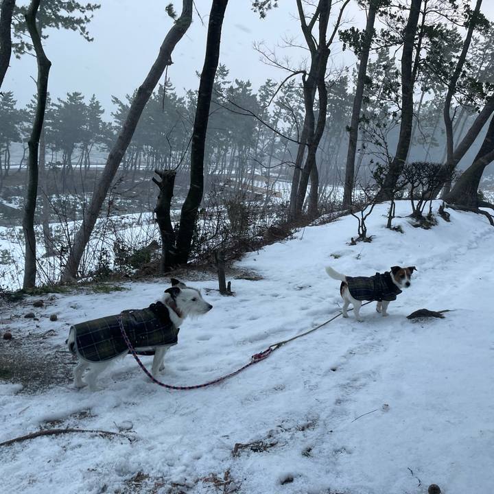 A2d5154a fe71 4993 81e3 b8ef5937df0f 1769815162486