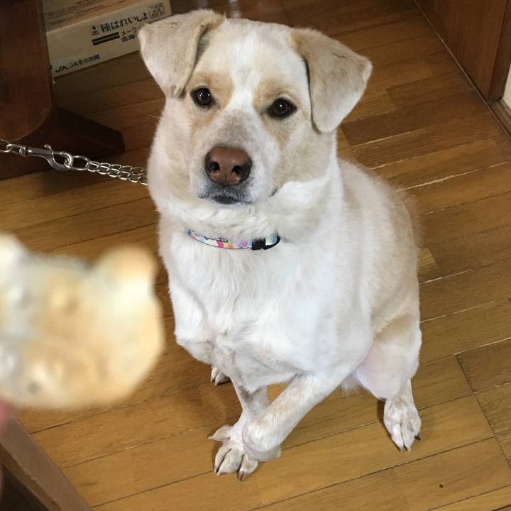 A2d515d9 4aa7 49b6 9ac4 da5231b23db5 1516228558834