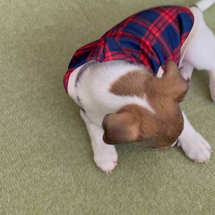 A2d53dc3 81ee 4866 8361 18b8f9cb446e 1666507478595