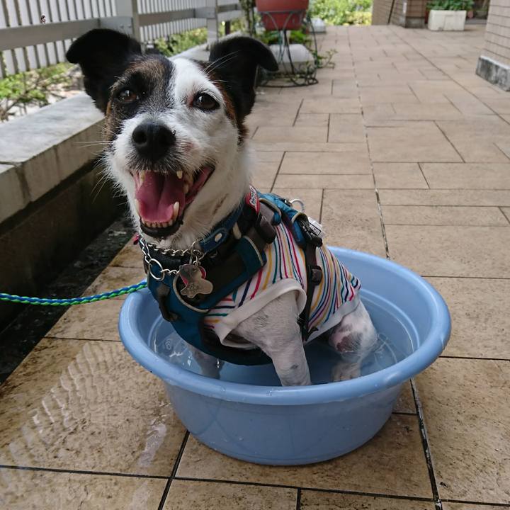 A2d55c25 86c1 4fc9 a1f0 49fe3e93c750 1598235533104