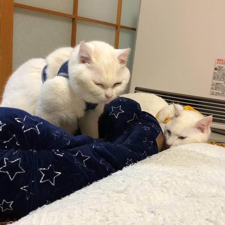 A2d5667d 47ec 4e74 b571 90a5e3a73844 1550842755946