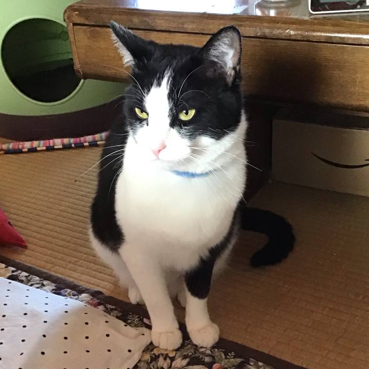 A2d593c5 f5d1 46f7 b03a 5b52282cd1b3 1683275997122