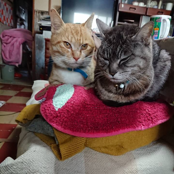 A2d5a2a5 fcae 4981 883c 8bdd45fc9f66 1555749332075