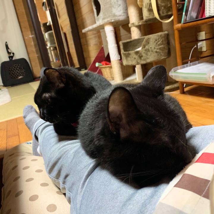 A2d5c308 5272 4a91 9306 896da573ba10 1573040781981