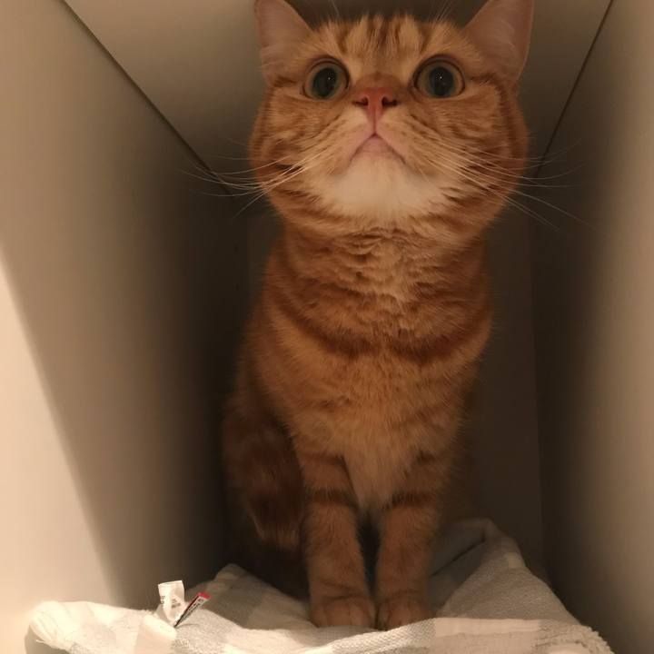 A2d5d2b8 1291 428c a51f 94e65ea39efd 1553927516663