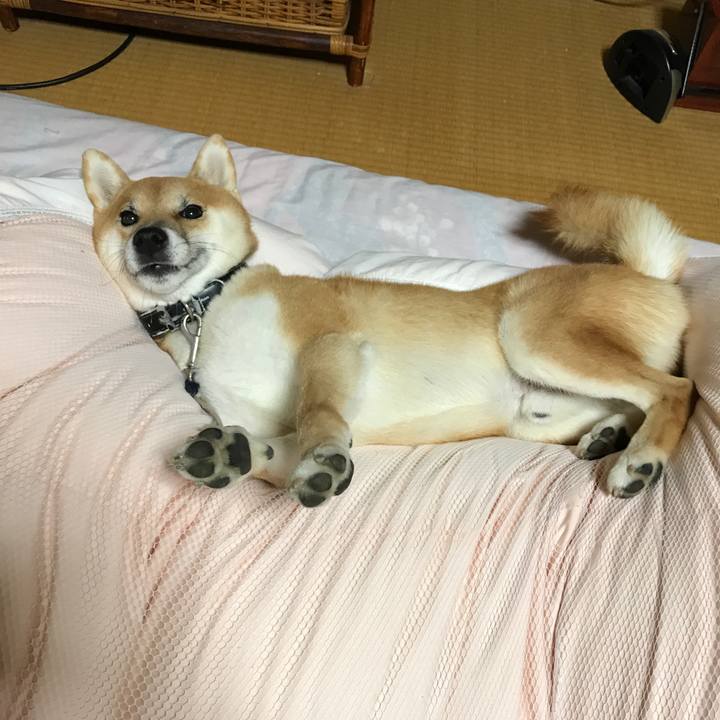 A2d5dec1 4ebb 4a47 aa47 176f7e0bf9d2 1542427598722