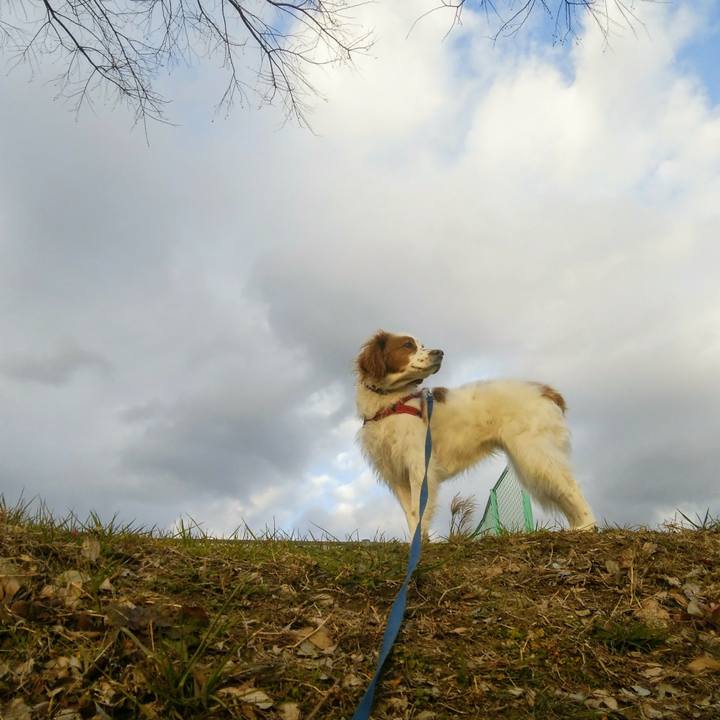 A2d65d69 e99a 49bd 9062 d2cc669f3005 1548159155688