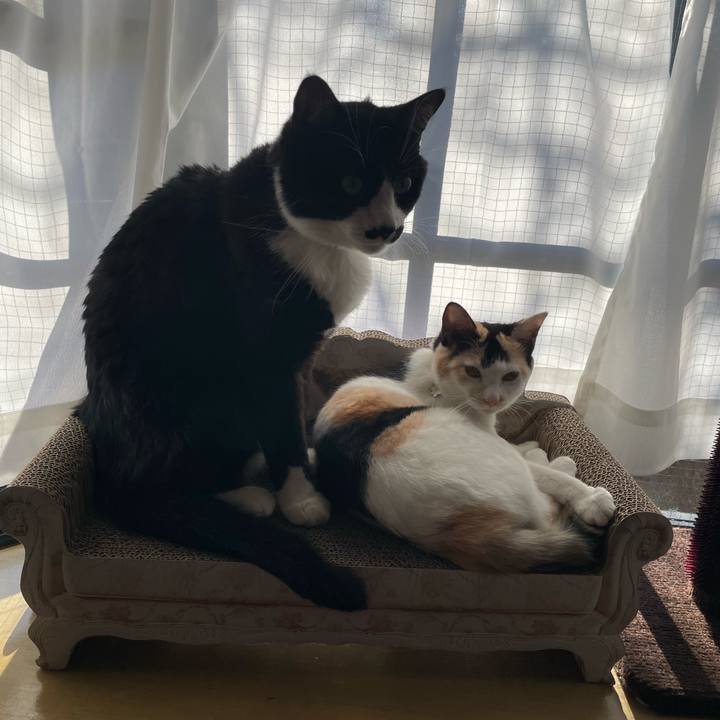 A2d67cdb d1d0 4416 b067 767cc1f0a42b 1674689424854