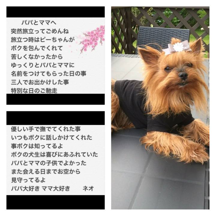 A2d6802e 5c4e 4c65 acf0 3c8025e71ef2 1555336362080