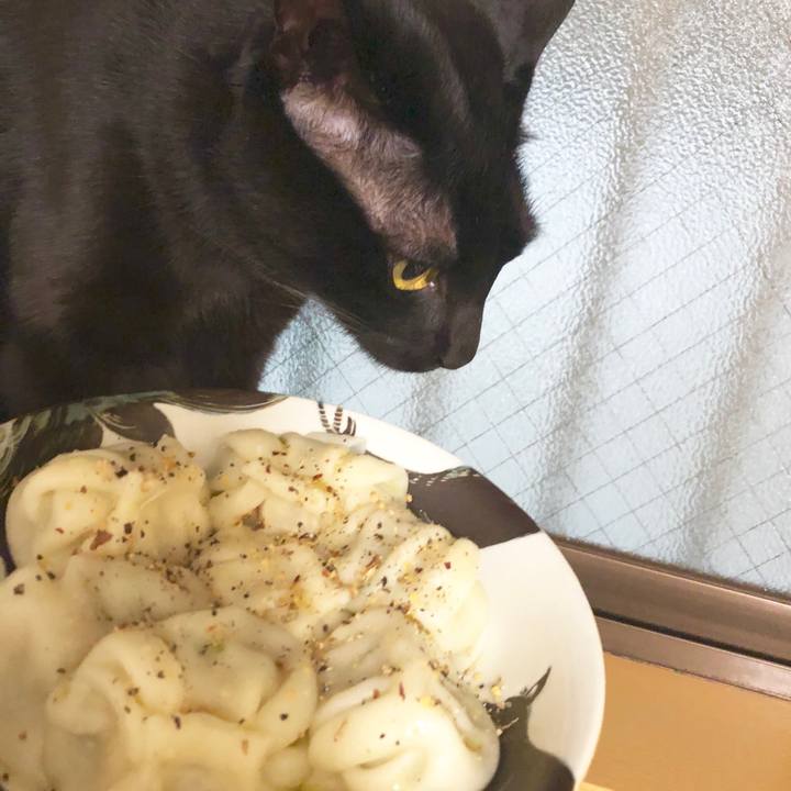 A2d68e73 3246 4ad1 9c86 5e2be025de22 1547852304610