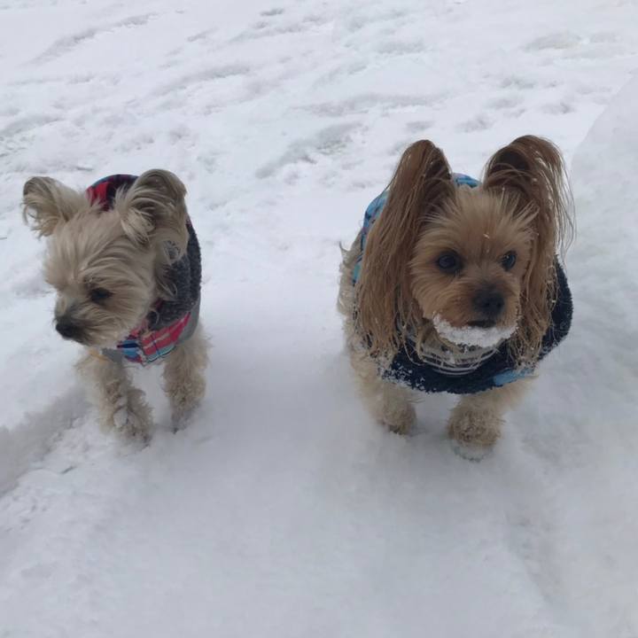 A2d69de7 e009 4ce8 ad41 dfd6adb45aa2 1578905907605