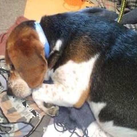 A2d6e9ce bd3f 4adb 9ae2 cfd1bc139ecd 1727991719918