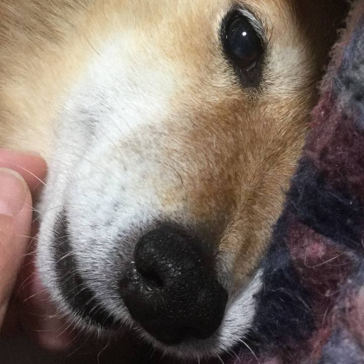 A2d6eb96 c2c1 48ff 8026 966bad69fd82 1549972809449