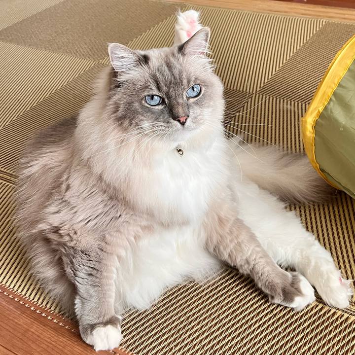 A2d70695 edd3 43b5 97c3 02983fda7354 1671110165367