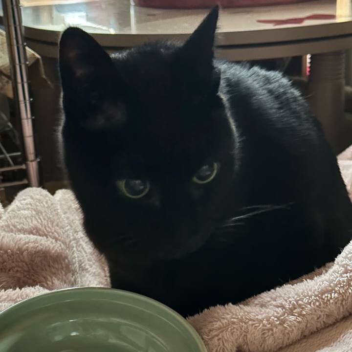 A2d728a6 c0a3 435b 8d28 56224979cd39 1672961441502