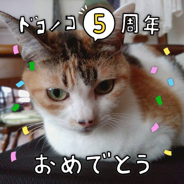 A2d75503 b9d3 41d4 a905 70758200cd27 1622897373179