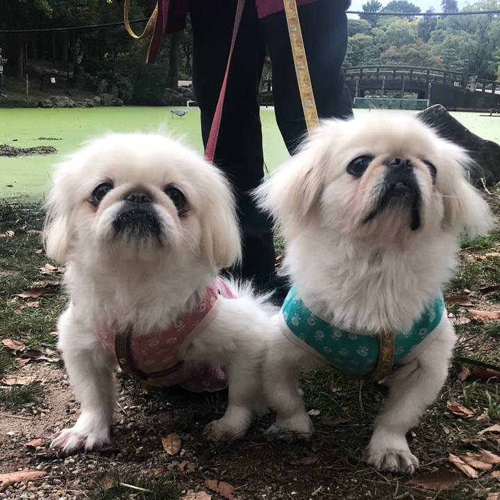 A2d75e28 af72 4478 8ffd 647880be6d83 1540949071362