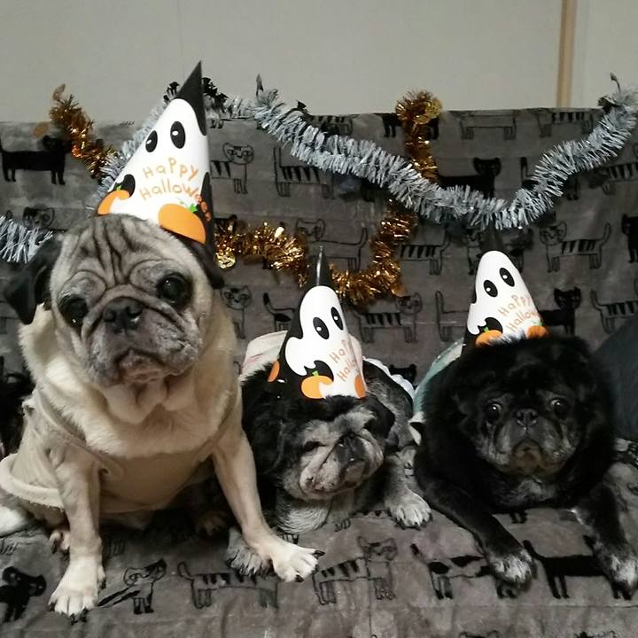 A2d7992e 5663 4c68 9a3a e5669b2df62d 1540271623419