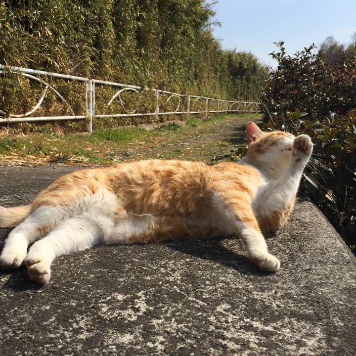 A2d7d42d 9839 405d 9add 6e8fcfa8a543 1551517217204