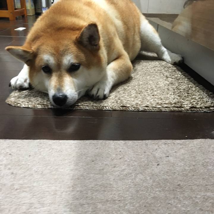 A2d835b3 b5f2 435c 917c 9d1867210b0a 1600327623710