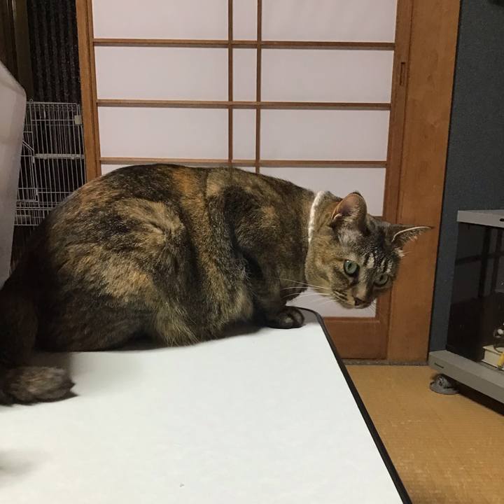 A2d83727 1df0 4751 8881 7e6ac233c328 1694607429863