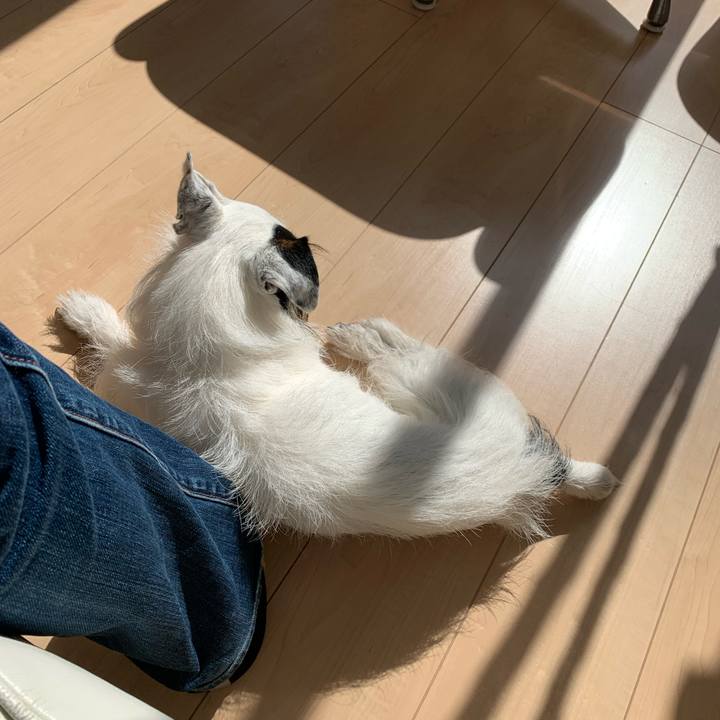 A2d86793 1fcf 4a58 b38d 61414b04253c 1676691483309