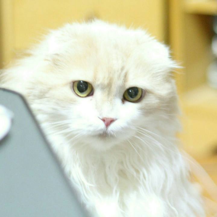 A2d89a40 6bb8 4c1a bb8f af4f479360fd 1526731148966