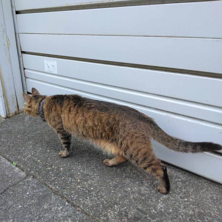 A2d8bd4a 8cdd 484f 94c5 54bac95d1022 1687867283327