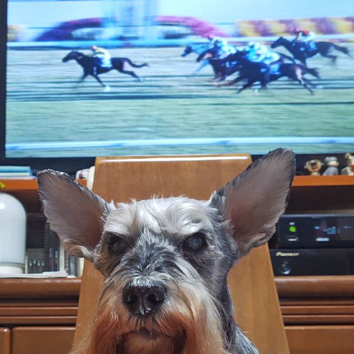 A2d8d70f b684 4739 9159 42f8308d7ae7 1763880760170