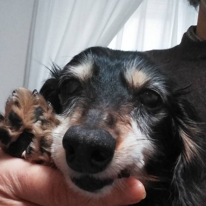 A2d8e0a4 feb8 4c30 9c13 908ade17a6bf 1641078546452