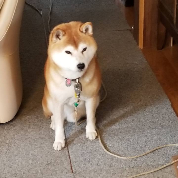 A2d8e125 56b4 4baa a57f 4d110373c7f4 1605498147786