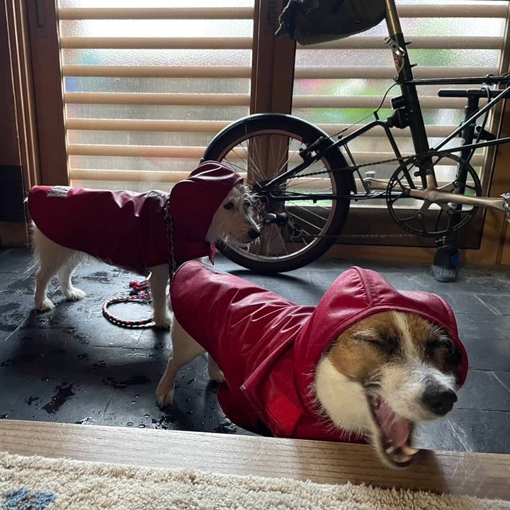 A2d8fa0e 5875 4147 b373 6beaa7a2bd5f 1726698475953