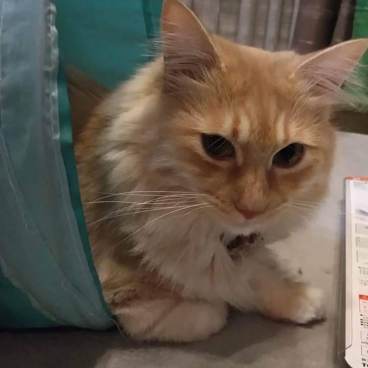 A2d9085a edfe 4383 ad8c cba077108a16 1671243224547