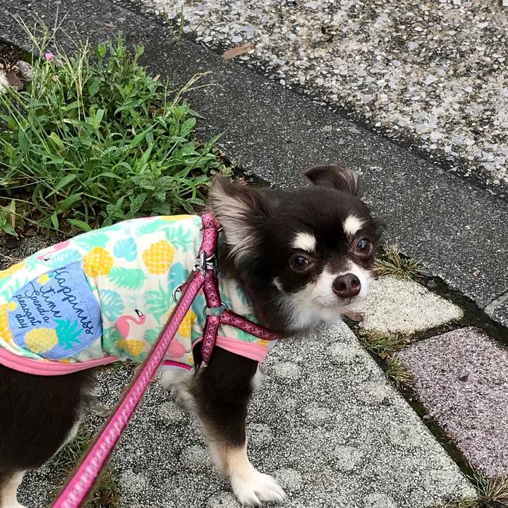 A2d91ea9 797a 4d95 a76c be8a0e2d8588 1566558856700