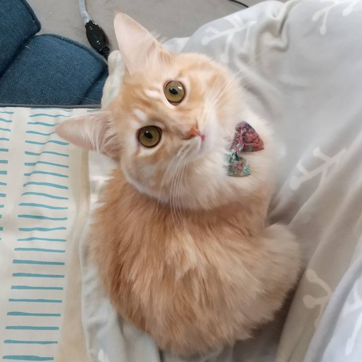 A2d95ed0 c05b 40ec a54b ab825d4853ea 1637656342067