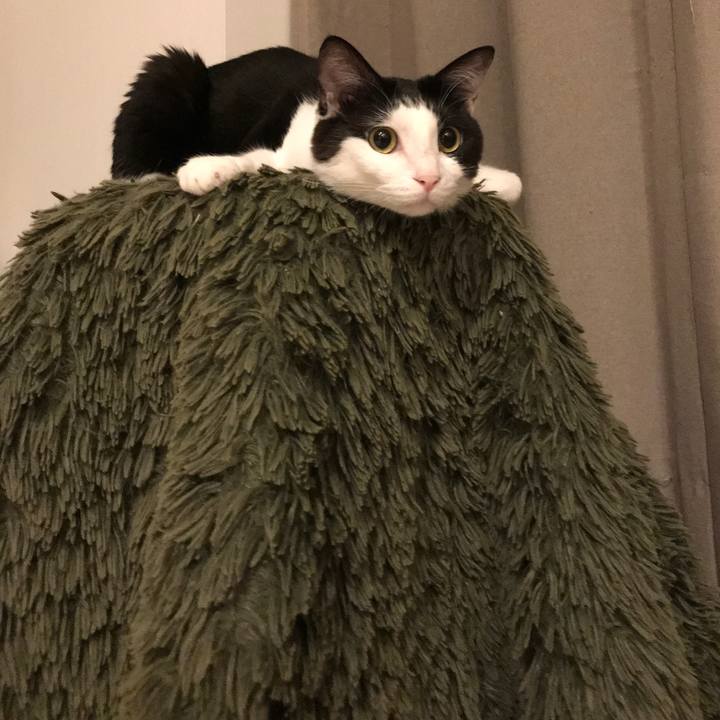 A2d96983 d4c9 443d bc46 3fba3c725e73 1527601039719