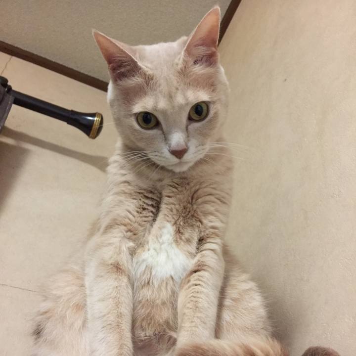 A2d988a0 d276 436a 9dab 1ffc04f1cef7 1534677224631