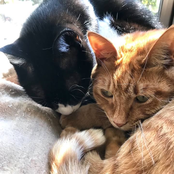 A2d98b17 3c61 4e65 a970 d0645010aca2 1516860974657