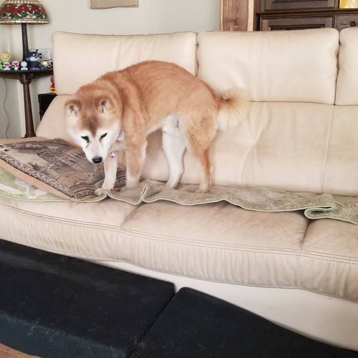 A2d9ae22 03fa 4302 9e56 07c43dabfd59 1773635965413