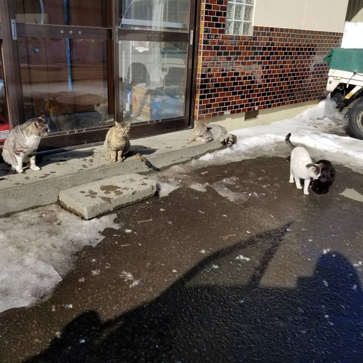 A2d9c326 f3d5 43de 95ab 33dd8daae7b3 1678112405835