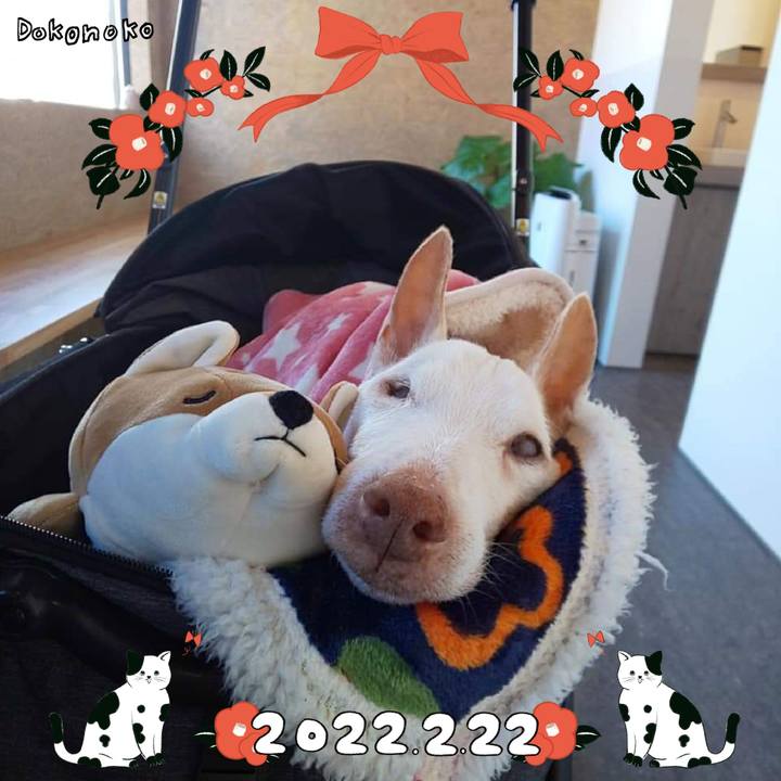 A2da1e6f 98f8 46cf ad11 8ac03bca2a41 1645494927702