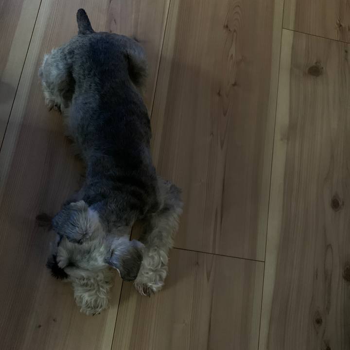 A2da609c 2aa1 4ca1 9560 8d9f5dacbb60 1655361777480