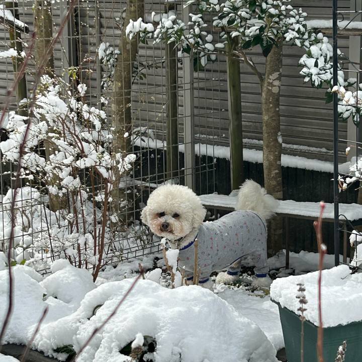 A2da7349 991d 4b60 a018 911c0e13bae5 1770526505284