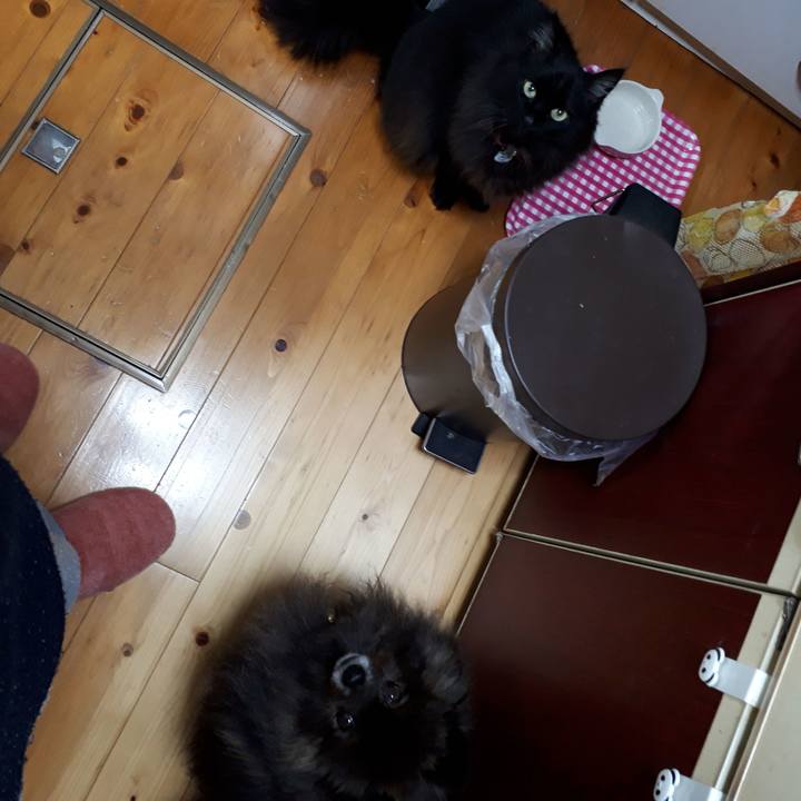 A2da7994 6625 4214 9eef 2bb8a53abea4 1522098241022