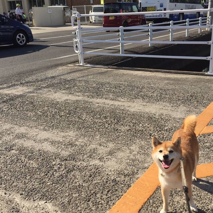 A2da7b7a ede3 4231 8a96 ee9b10328753 1558572845830